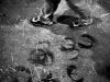 Feet and hoof