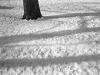 Snow, shadow, snow, shadow